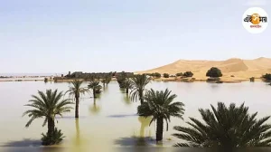 মরুভূমির ভিতর বৃষ্টি